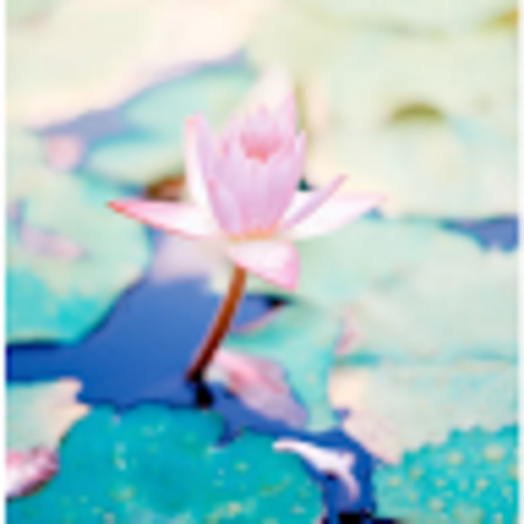 Meet your Posher, Nechama - Picture 1 of 1